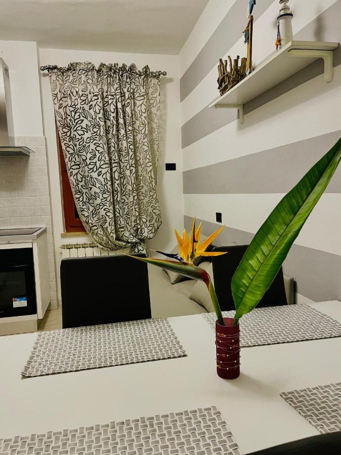 Apartment Acciuga