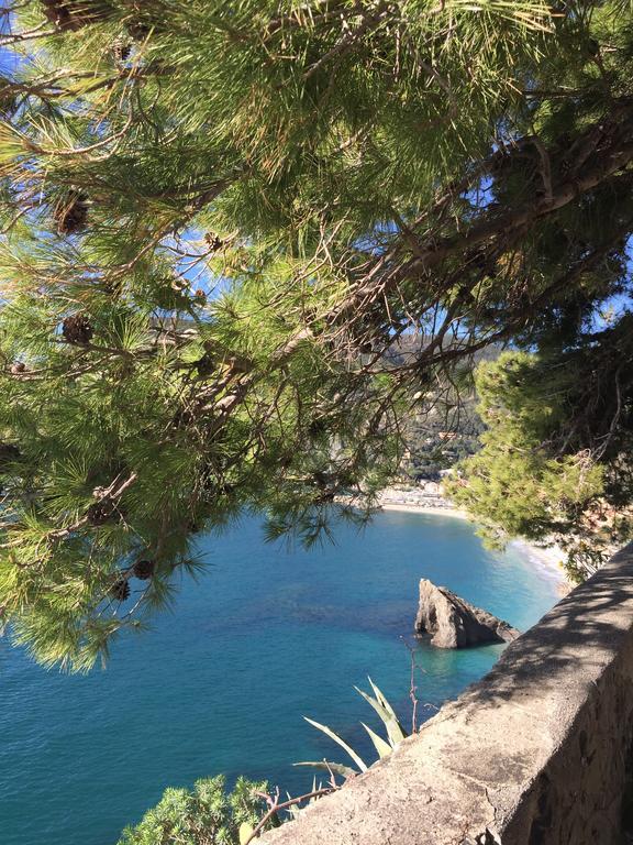 Acciuga Monterosso al Mare