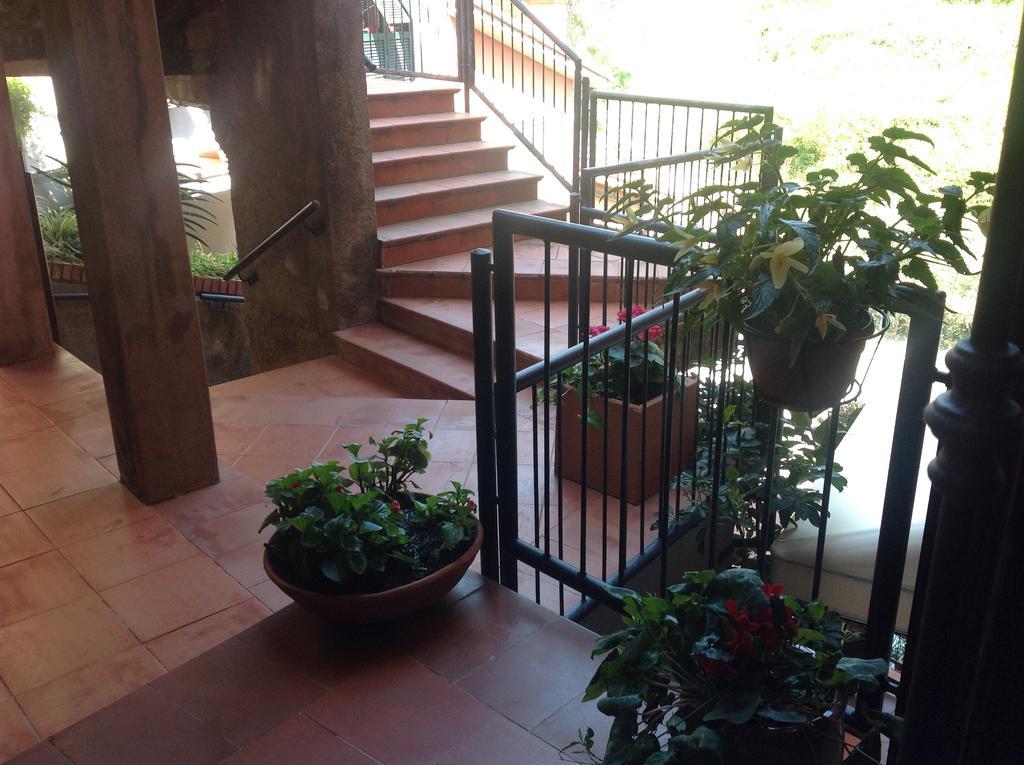 Apartment Acciuga